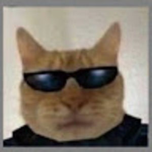 Meet your Posher, Deathstrida